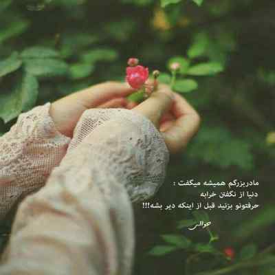 بشکاف برو جلو یاس